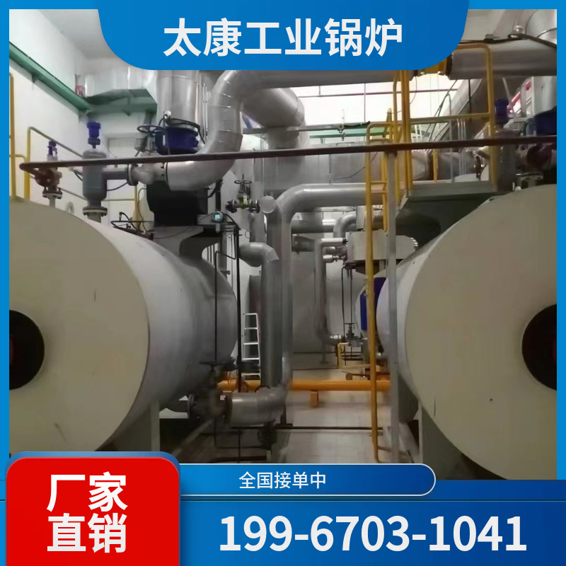 阜新高效燃煤锅炉